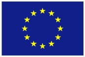 EU flag