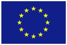 EU flag