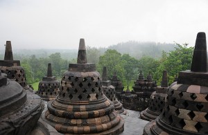 Image courtesy of Laura Kehoe