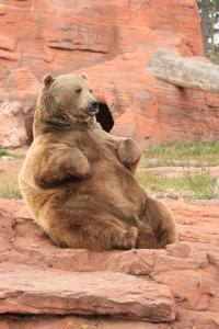 You too could be sitting pretty with a £5000 innovation voucher